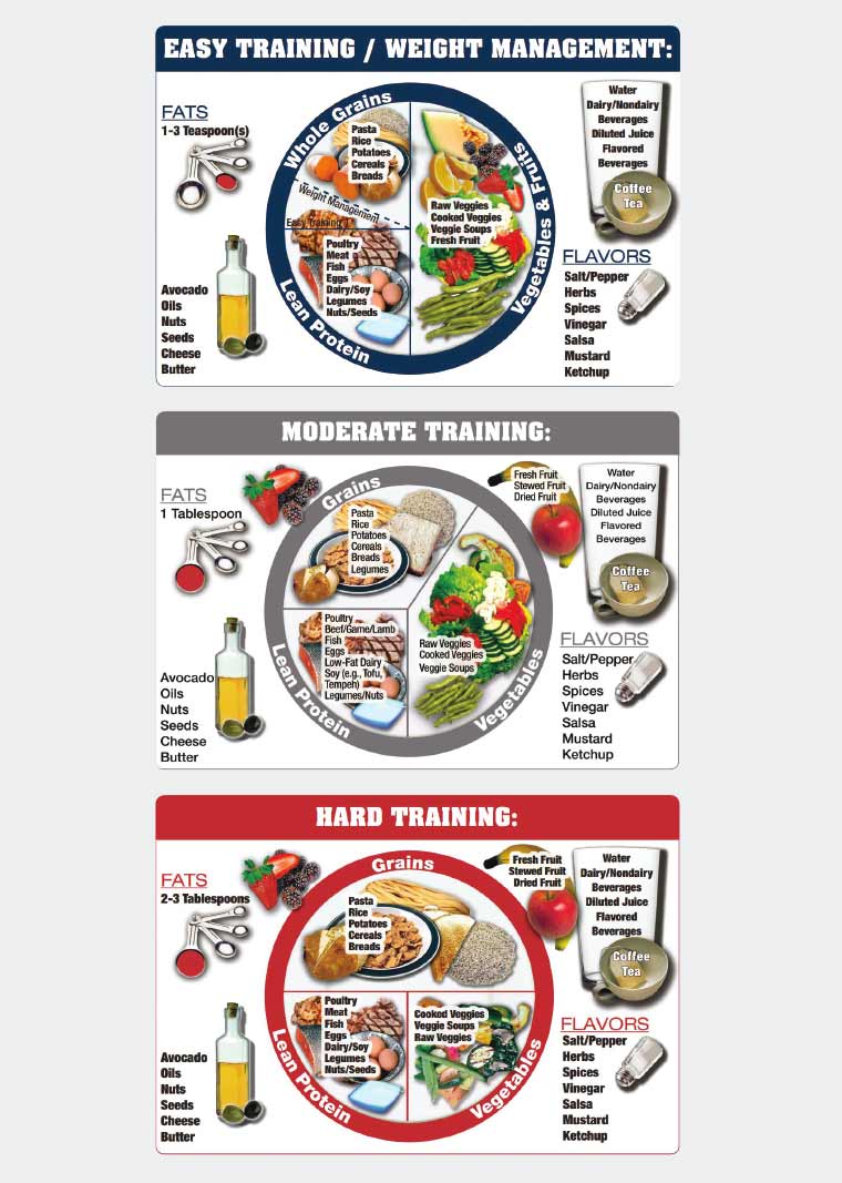Figure 1. The Athlete’s Plate nutrition education tool (diagram).