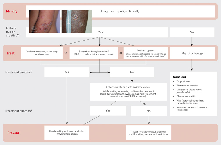 Figure 2. Guidelines for management of skin sores