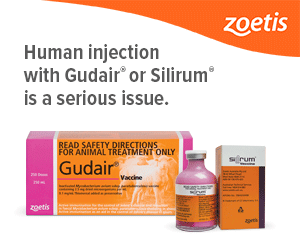 Information for healthcare professionals about human accidental or self-injection and exposure to the animal vaccines, GUDAIR® and SILIRUM®
