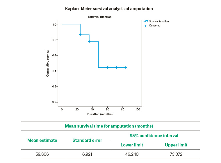 Figure 1. Kaplan-Meier survival analysis of amputation (graph).