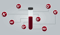 Infographic of different blood types