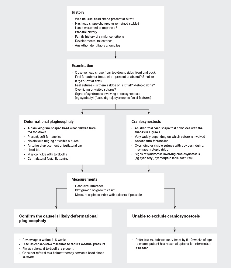 Figure 2. Flowchart for clinical approach for general practitioners