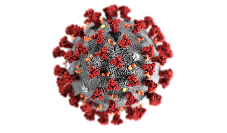 The coronavirus.