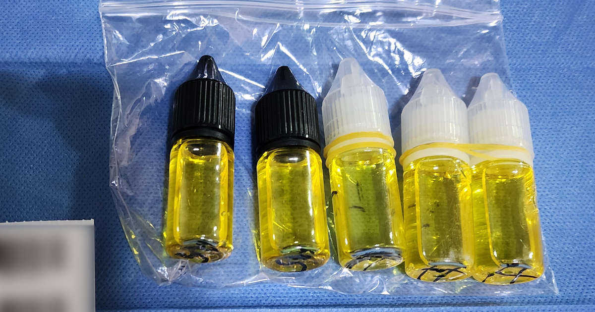 opioid vape RACGP
