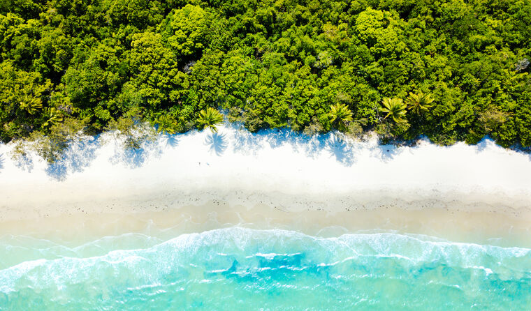 Aerial view of Cairns beach.