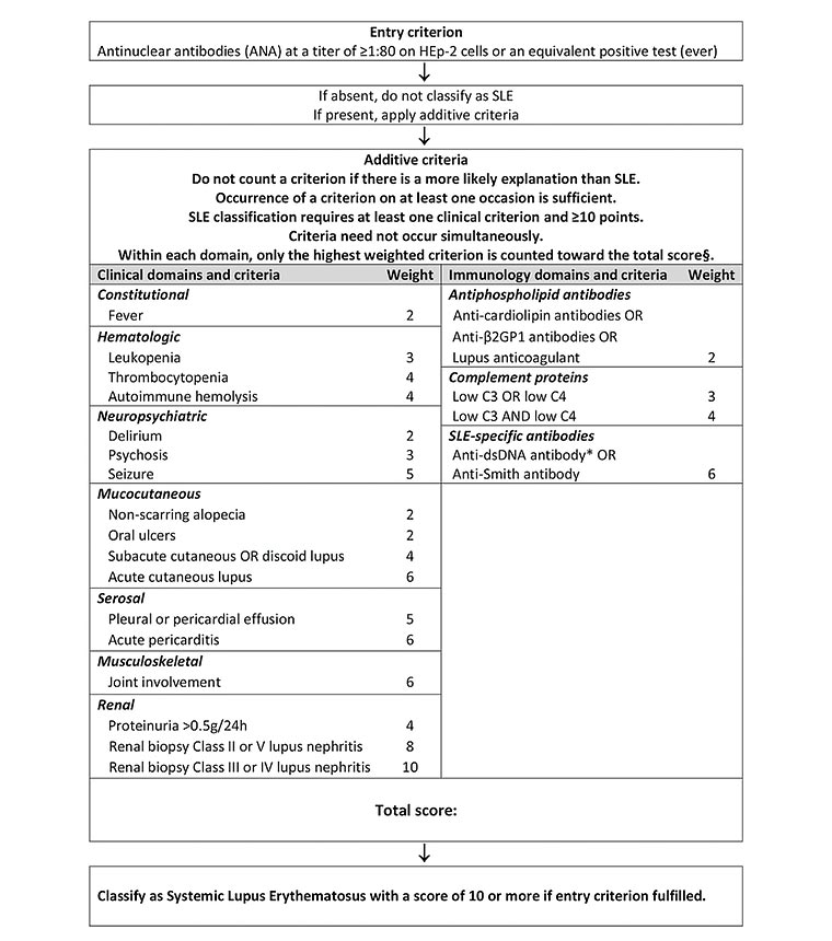 Figure 2. Classification criteria for systemic lupus erythematosus (SLE)