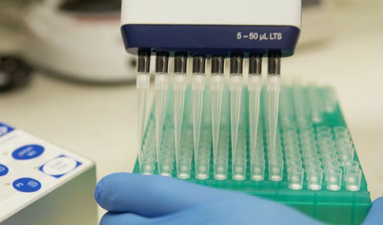 Rows of test samples in lab