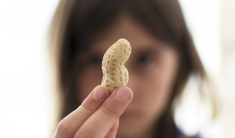 Child holding up peanut