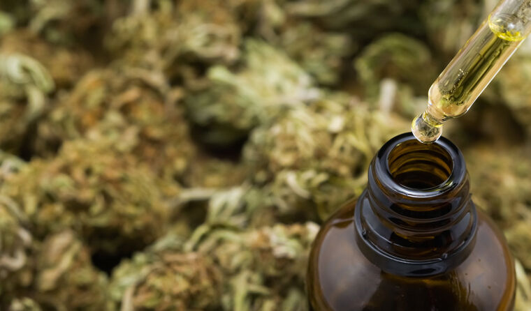 Cannabis oil bottle, cannabis buds in background