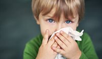 A young blue-eyed boy wipes his nose with a tissue