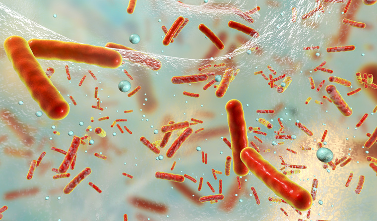 Multidrug resistant bacteria inside a biofilm.