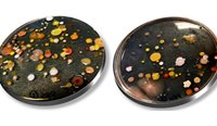 Pharmaceutical chemist Dr Ernest Lacey described these dark plates as ‘a glimpse of biodiversity in the microbial world’.