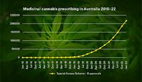 The vast majority of medicinal cannabis prescriptions have been issued via the Special Access Scheme – Category B.