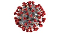 Monash University has developed markers to track memory B lymphocyte cells formed after coronavirus infection.