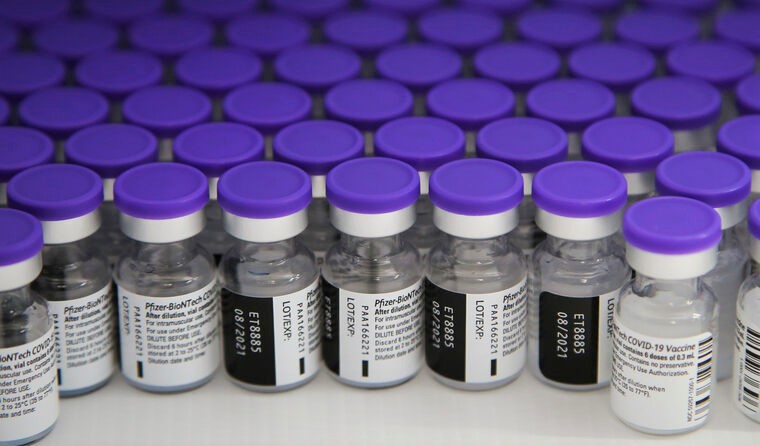 Vials of Pfizer's COVID vaccine. 