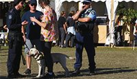 NSW police will continue to undertake strip searches and use sniffer dogs, despite health experts advocating for a different approach. (Image: AAP)