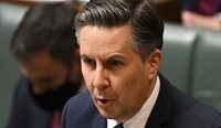 Minister for Health and Aged Care Mark Butler speaks during a Question Time earlier this year. (Image: AAP Photos/ Lukas Coch)