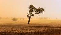 Dust storms contributed to poor air quality in parts of NSW in 2018.