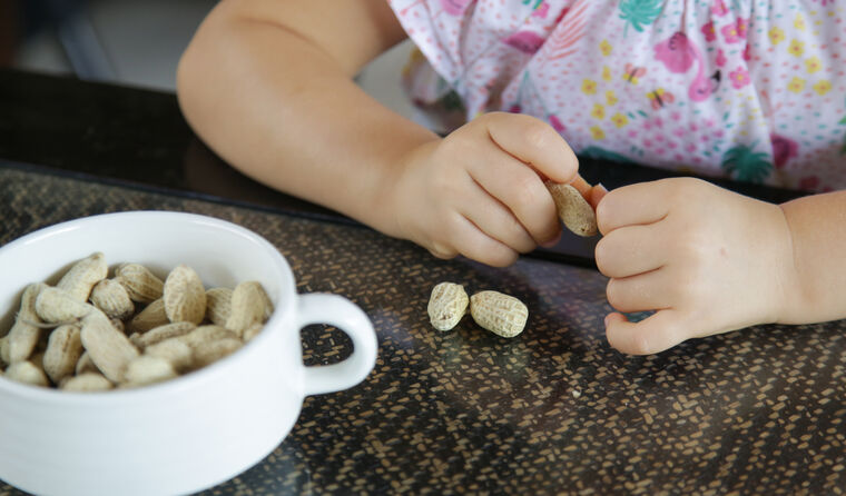 Toddler eating peanuts