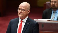 Senator David Leyonhjelm said he is disappointed at the defeat of his bill, but has vowed to continue the fight. (Image: Mick Tsikas)