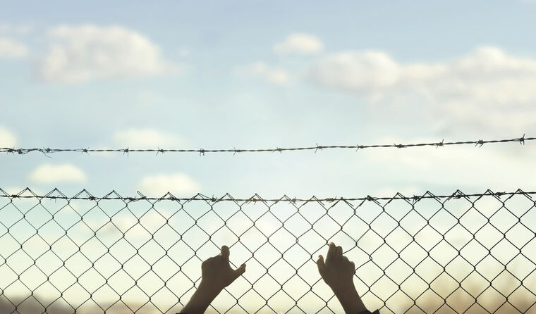 A young boy’s hands holding onto wire mesh.