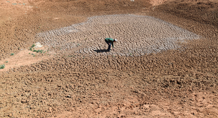 Empty dams are a common sight is drought-affected areas of NSW and Queensland. (Image: David Mariuz)