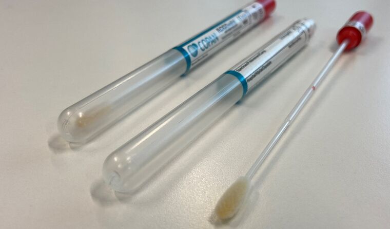 Cervical screening self-collection swab