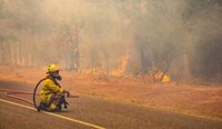 Firefighter in bushfire