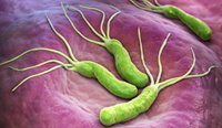 Helicobacter pylori normally infect the stomachs of children where, if undetected, they can stay forever. 