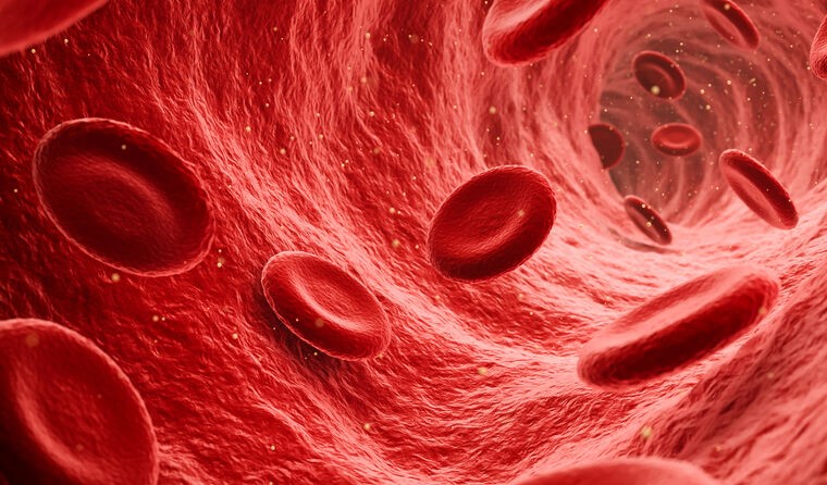 Blood clot illustration