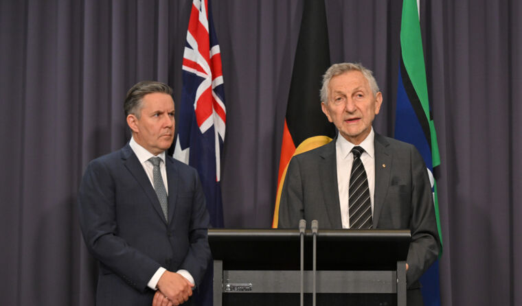 Mark Butler and Thriving Kids group chair