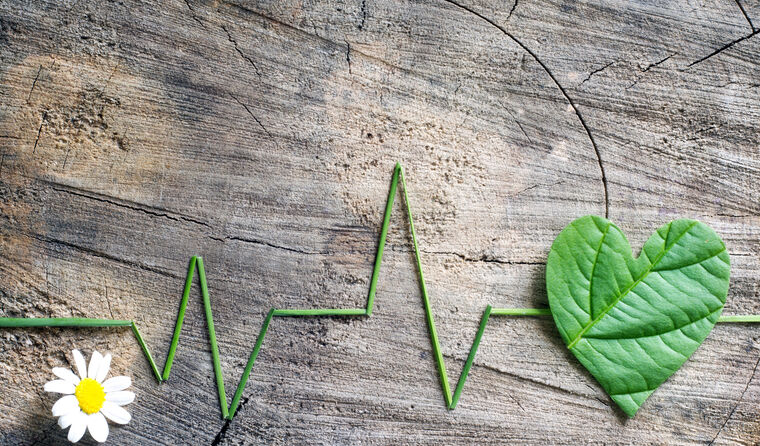 Leaf and grass on wood emulating heartbeat 