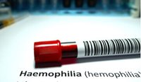 More than 3100 people in Australia are currently diagnosed with haemophilia.