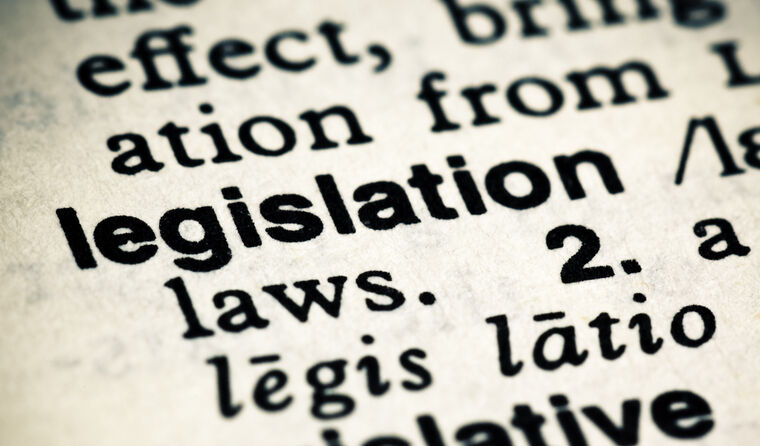 Definition of legislation in dictionary