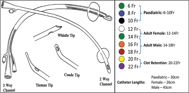 RACGP - Ins and outs of urinary catheters