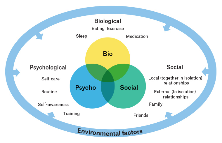 Figure 1. The biopsychosocial–environmental model of health