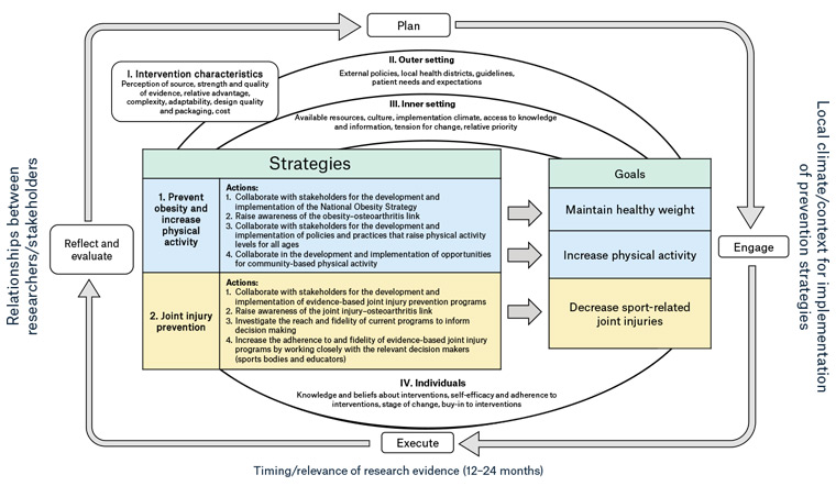 Figure 1. The Strategy’s proposed framework for the implementation of strategies required for the prevention of osteoarthritis