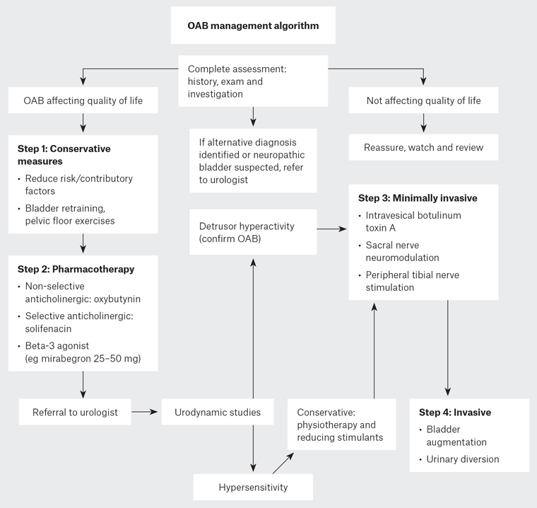 AJGP-09-2020-Clinical-Hutchinson-Overactive-Bladder-Syndrome-Fig-1-1.jpg