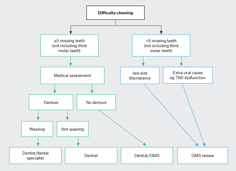 Figure 1. Suggested referral pattern for patients experiencing difficulty chewing (flowchart).
