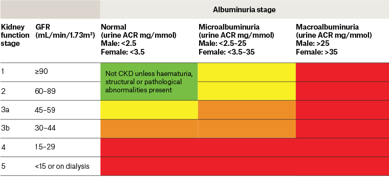 Figure 1. Classification of chronic kidney disease