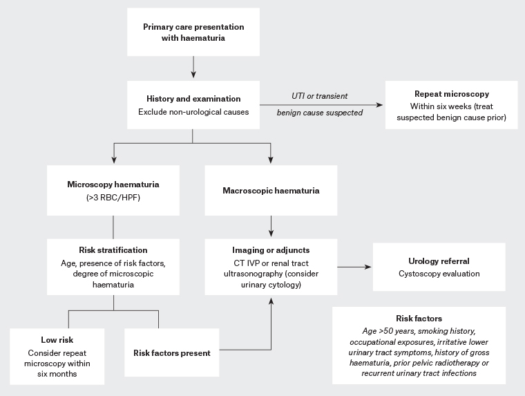 Figure 1. Algorithm for initial investigations and management of haematuria