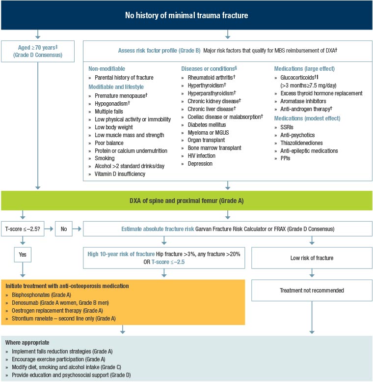Figure 1. Clinical guidelines flowchart
