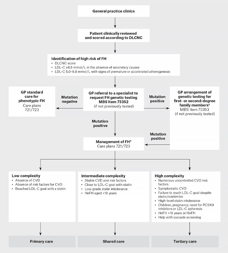 Figure 1. Process for genetic screening and management of an individual at high risk of familial hypercholesterolaemia.