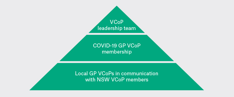 Figure 1. COVID-19 GP VCoP structure
