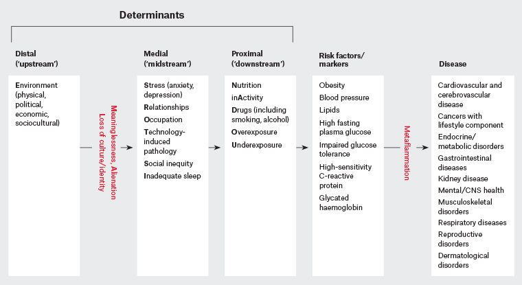 Figure 1. A hierarchical approach to chronic disease determinants.