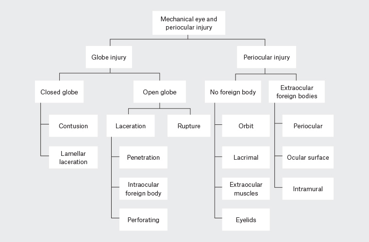 Figure 1. A modified Birmingham Eye Trauma Terminology (BETT) classification system that incorporates both globe and periocular injuries. The original BETT classification did not consider periocular injuries.