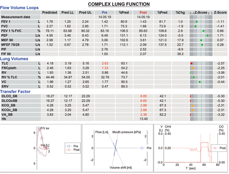 Figure 2. Complex lung function test results