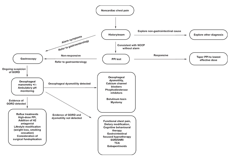 Figure 1. Diagnostic and management algorithm for noncardiac chest pain.