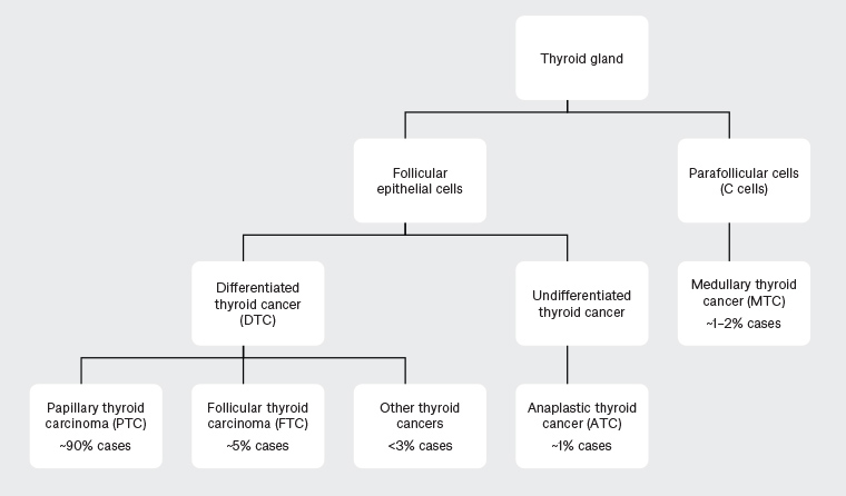 thyroid follicular carcinoma