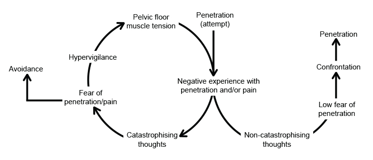 Figure 1. The fear avoidance model of vaginismus.